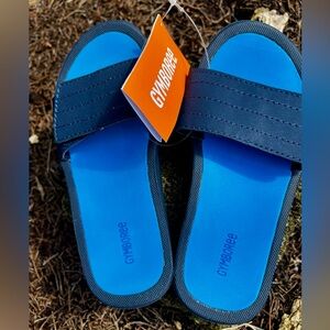 NWT Boys Gymboree Sandal beach summer Flip flop blue Velcro adjustable straps 13
